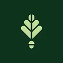 Spring Oak Senior Living logo