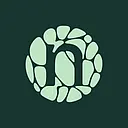 Novonesis logo