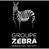  GROUPE ZEBRA logo