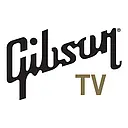 Gibson Brands Inc logo