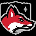  North Greenville University logo