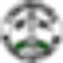 Chelmsford logo
