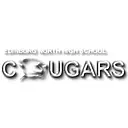 Edinburg CISD logo