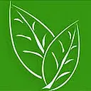 Life Pace logo