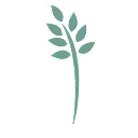 Hospice of the Piedmont Inc logo