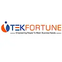 Tekfortune logo