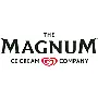 Magnum ICC Germany GmbH logo