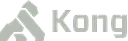Kong logo