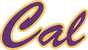Caledonia Community School District logo