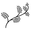 Sarah O. Jewelry logo