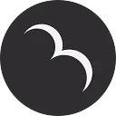 Rare Bird logo