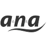 a&n&a GmbH & Co. KG logo