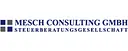 MESCH CONSULTING GMBH logo