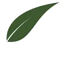 Leepfrog logo