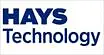 Hays DT - South Coast logo