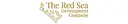 Red Sea Global logo