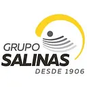 Grupo Salinas logo