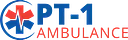 ProTransport-1 logo