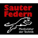 Heinrich Sauter Fabrik technischer Federn GmbH logo