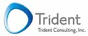 Trident Consulting logo