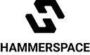 Hammerspace logo
