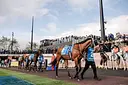 Melbourne Racing Club logo