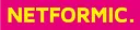 NETFORMIC logo