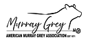 American Murray Grey Association logo