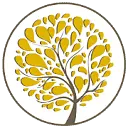 TLC Management logo
