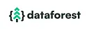 dataforest logo