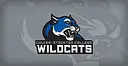 Culver-Stockton College logo