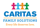 Christian Social Service Of Illino logo