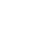 Miral Experiences logo