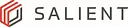 Salient Systems Corp logo