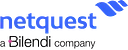 Trabajos en Netquest logo