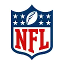 The National Football League logo
