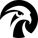 Falcon s Beyond Global logo