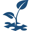 BlueSprig logo