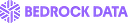 Bedrock Data logo