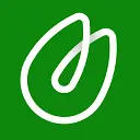 Pistachio logo
