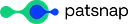 PatSnap logo