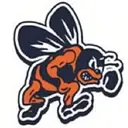 Bridgman Public Schools logo