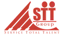 Grupo STT logo