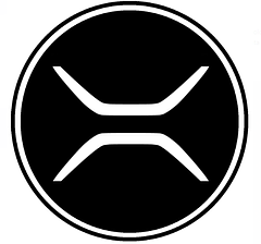 RIVOT MOTORS PVT LTD logo