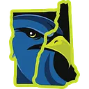 Upper Valley Nighthawks logo