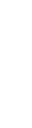 TransPerfect logo