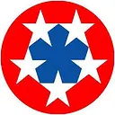 Eisenhower Health logo