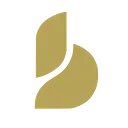Baton logo