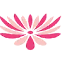 Kiku Sushi logo