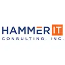 Hammer IT Consulting logo